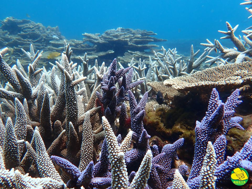 澎湖旅遊-七美一日遊(含機車)